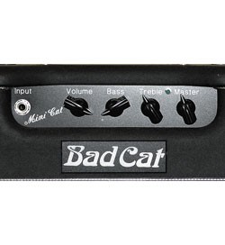 Bad Cat Mini Cat