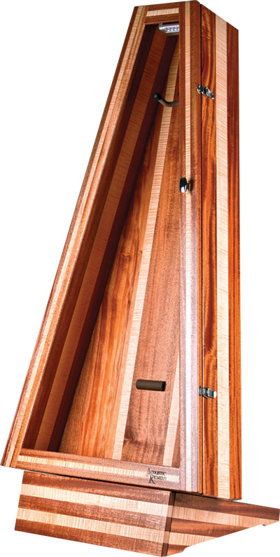 acoustic remedy cases