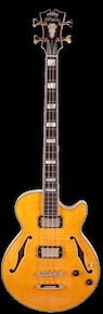 D'Angelico Bass