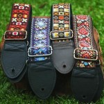 HipStrap straps
