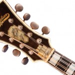 Permalink to The D’Angelico Excel Mandolin MANDOLIN-HOME-MAIN-BIG