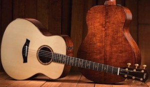 Taylor 500 Fall Ltd ED