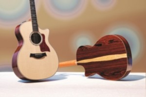 Taylor 800 series cocobolo Taylor 800 series cocobolo