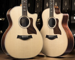 Taylor 814ce 816ce