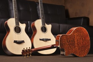 Taylor Guitars offers Fall Limited Edition series.