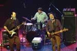 Permalink to The Gourds The-Gourds