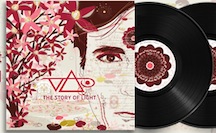Steve Vai-nyl