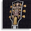 B.B. King & Friends - 80