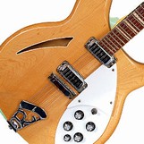 RICKenbacker 360 12