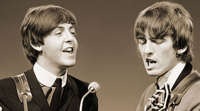 Check This Action: A Year In Their Life