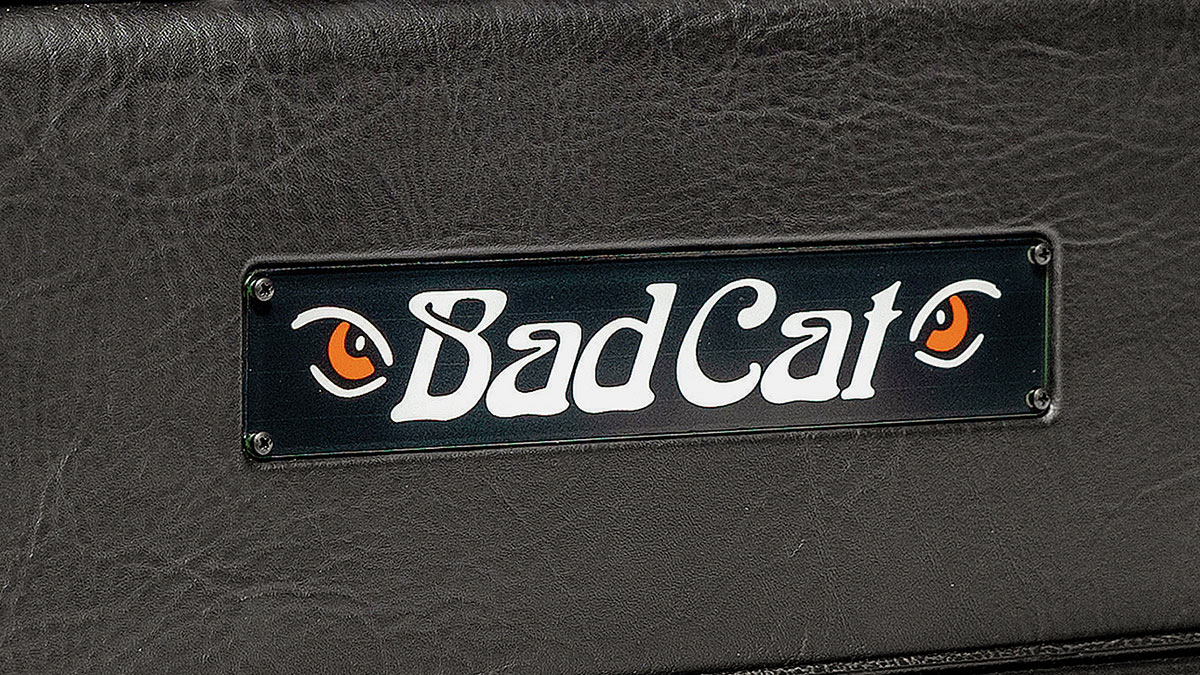 The Bad Cat Era 30
