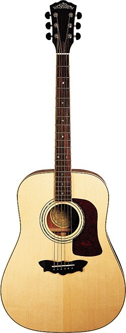 Washburn D78SW