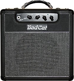 Bad Cat Mini Cat Bad Cat Mini Cat