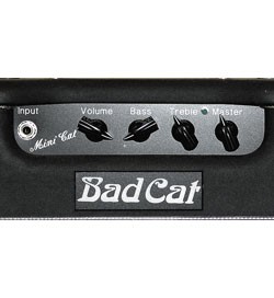 Bad Cat Mini Cat Bad Cat Mini Cat