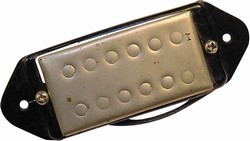 Humbucker Test Guitar PAF