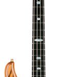 ALEMBIC_02_EssenceZebrawood