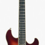 APPROVED_GEAR_EastwoodClassic6_01