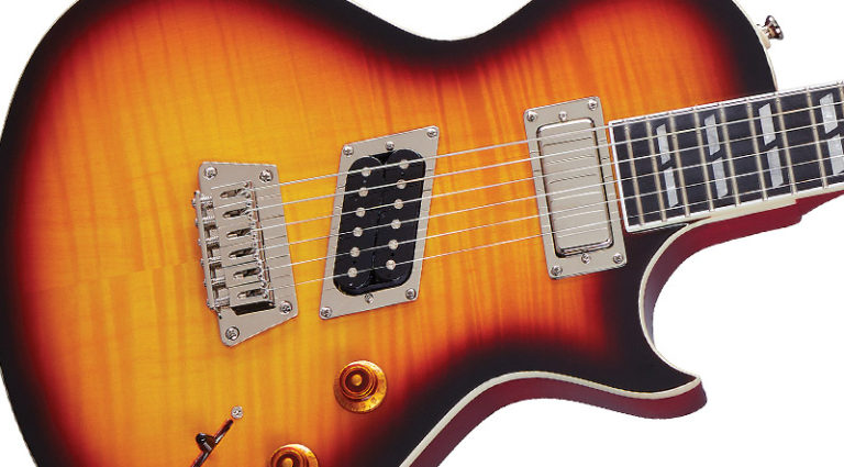 The Epiphone Nancy Wilson Fanatic The Epiphone Nancy Wilson Fanatic
