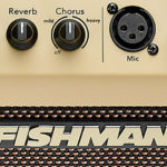 APPROVED_GEAR_FishmanLoudboxMini_FEATURED