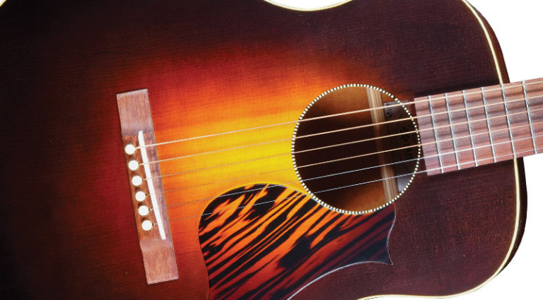 The Iris Guitar Dan Erlewine DE-11 The Iris Guitar Dan Erlewine DE-11
