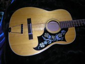 Aria 12 string acoustic guitar discount