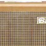 BIRD_GOLDEN_01_Feat