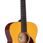 COLLINGS_JulianLageOM1