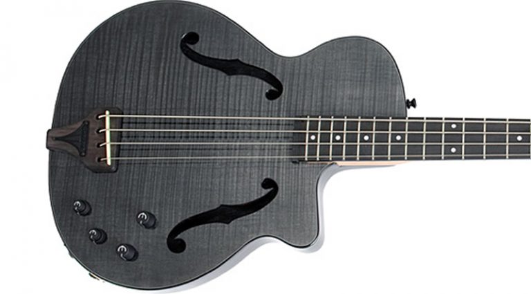 Epiphone Zenith Fretted and Fretless Bass