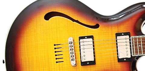 Falbo Alpha Series Hollowbody Falbo Alpha Series Hollowbody