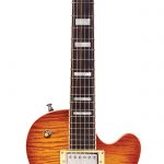 GUILD_Bluesbird