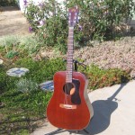 Guild D-25M