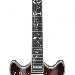 IBANEZBWM1_01i