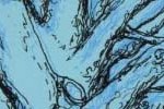 John Cowan thumbnail