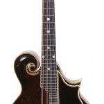 LLOYD_01_GibsonF-5