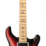PRS-25TH-SWAMP-ASH-SPECIAL-01