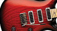 PRS 25th Anniversary Swamp Ash Special NF