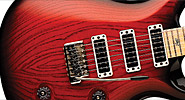 PRS 25th Anniversary Swamp Ash Special NF PRS 25th Anniversary Swamp Ash Special NF