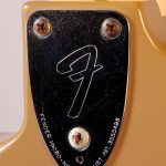 STRAT_07_79StratThreeBoltPlate
