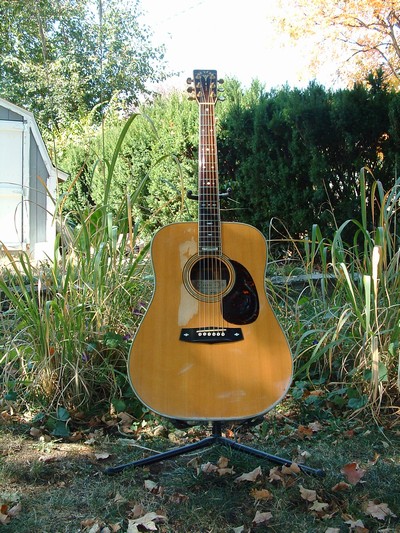 T on sale haruo guitar