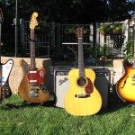 Tone Farm – still growing!
